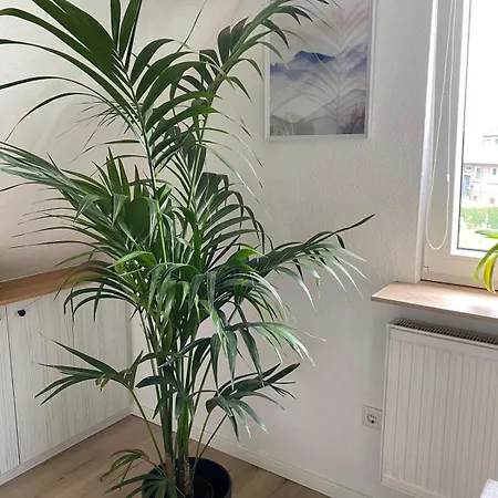 Gemuetliche Apartament *