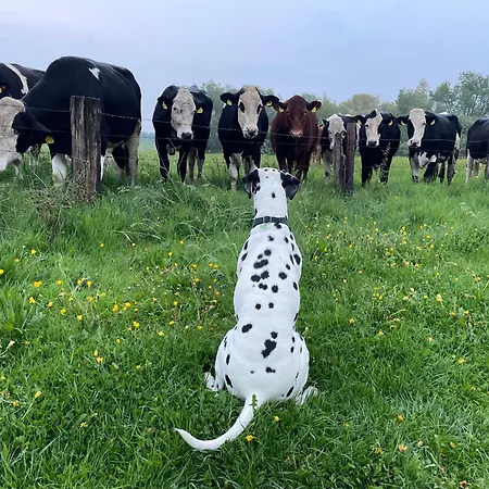 Gemuetliche Apartament Xanten