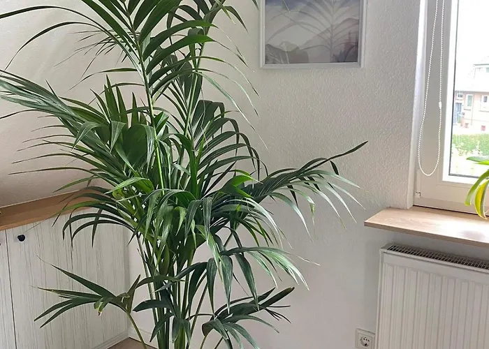 Gemuetliche Appartamento *