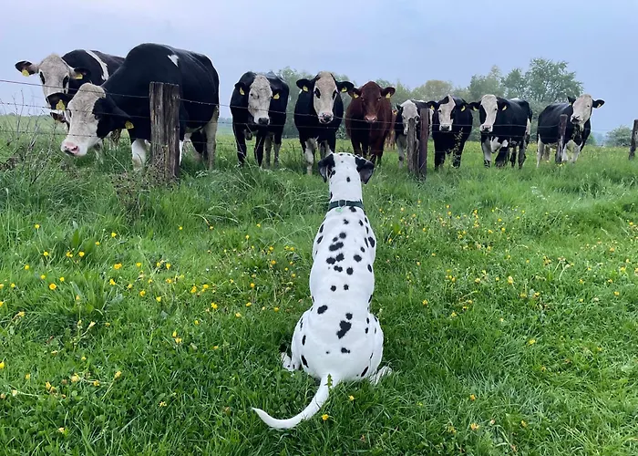 Gemuetliche Appartamento Xanten